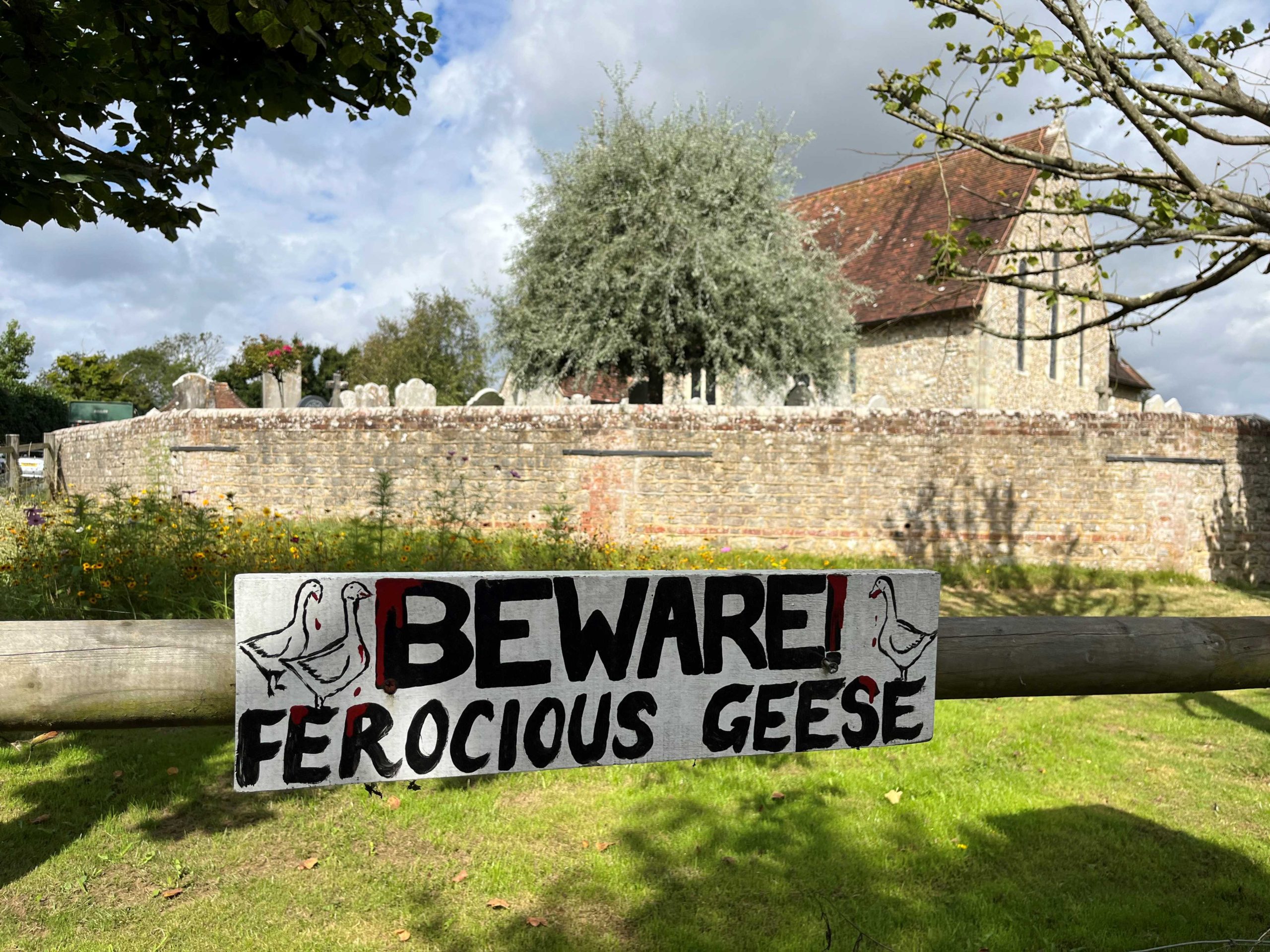 Beware Ferocious Geese