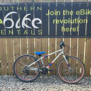 Raleigh Pop 24 (silver)