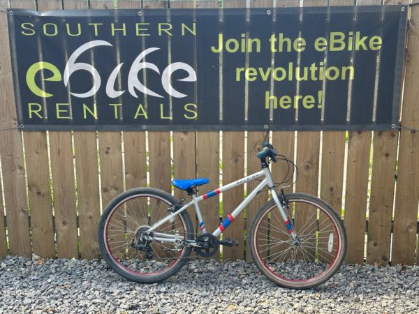 Raleigh Pop 24 (silver)