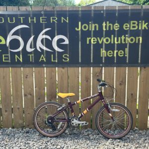 Raleigh Pop 20 (burgundy)