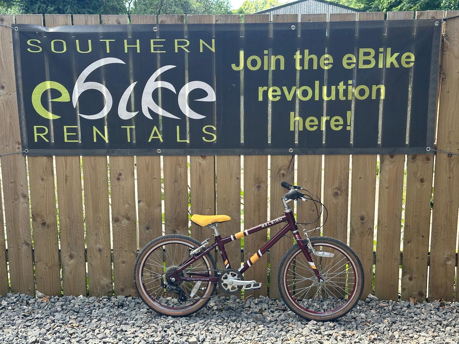 Raleigh Pop 20 (burgundy)