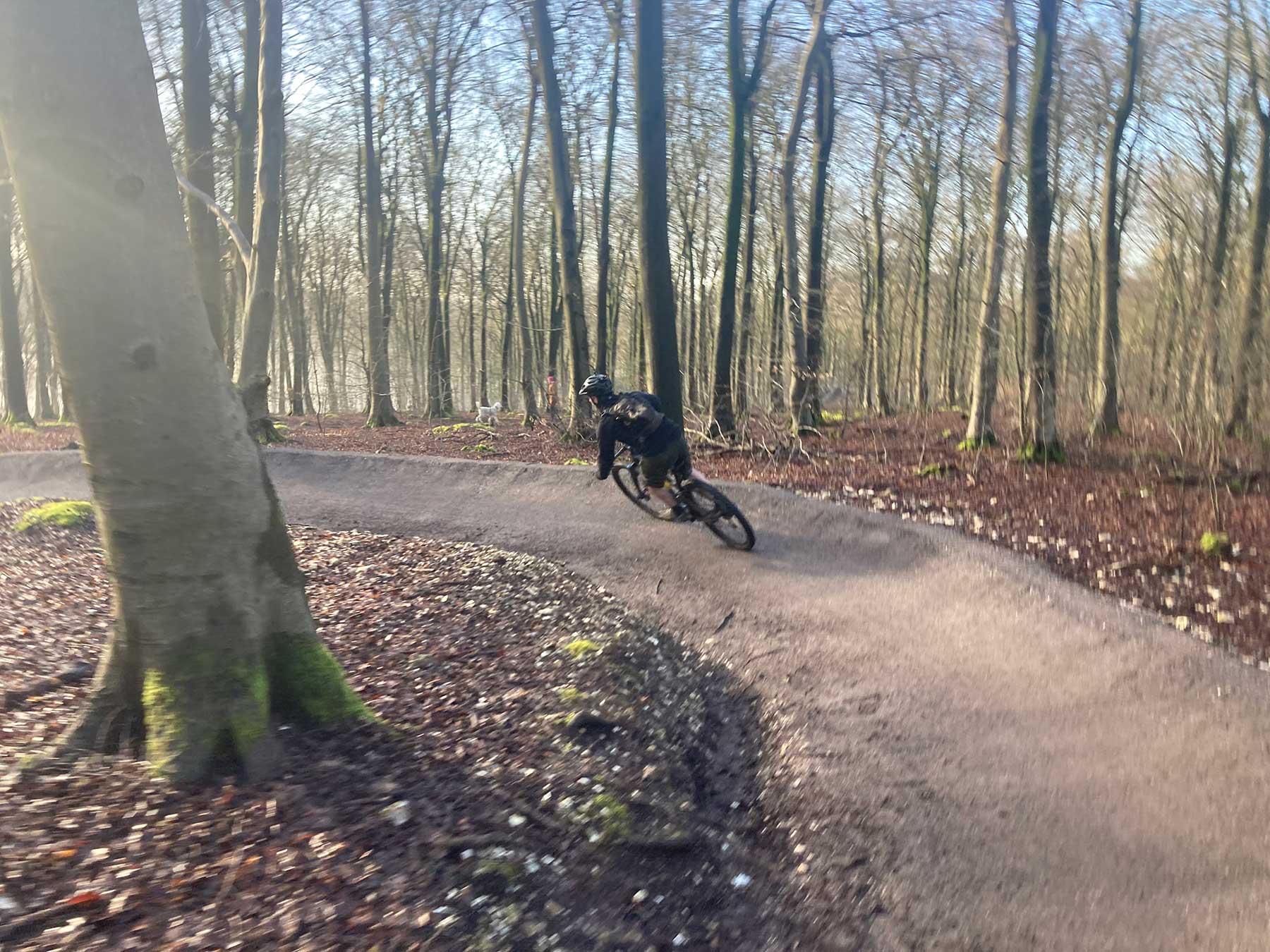 MTB Blue trail at QECP