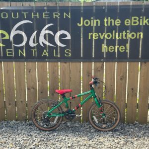 Raleigh Pop 18 (green)