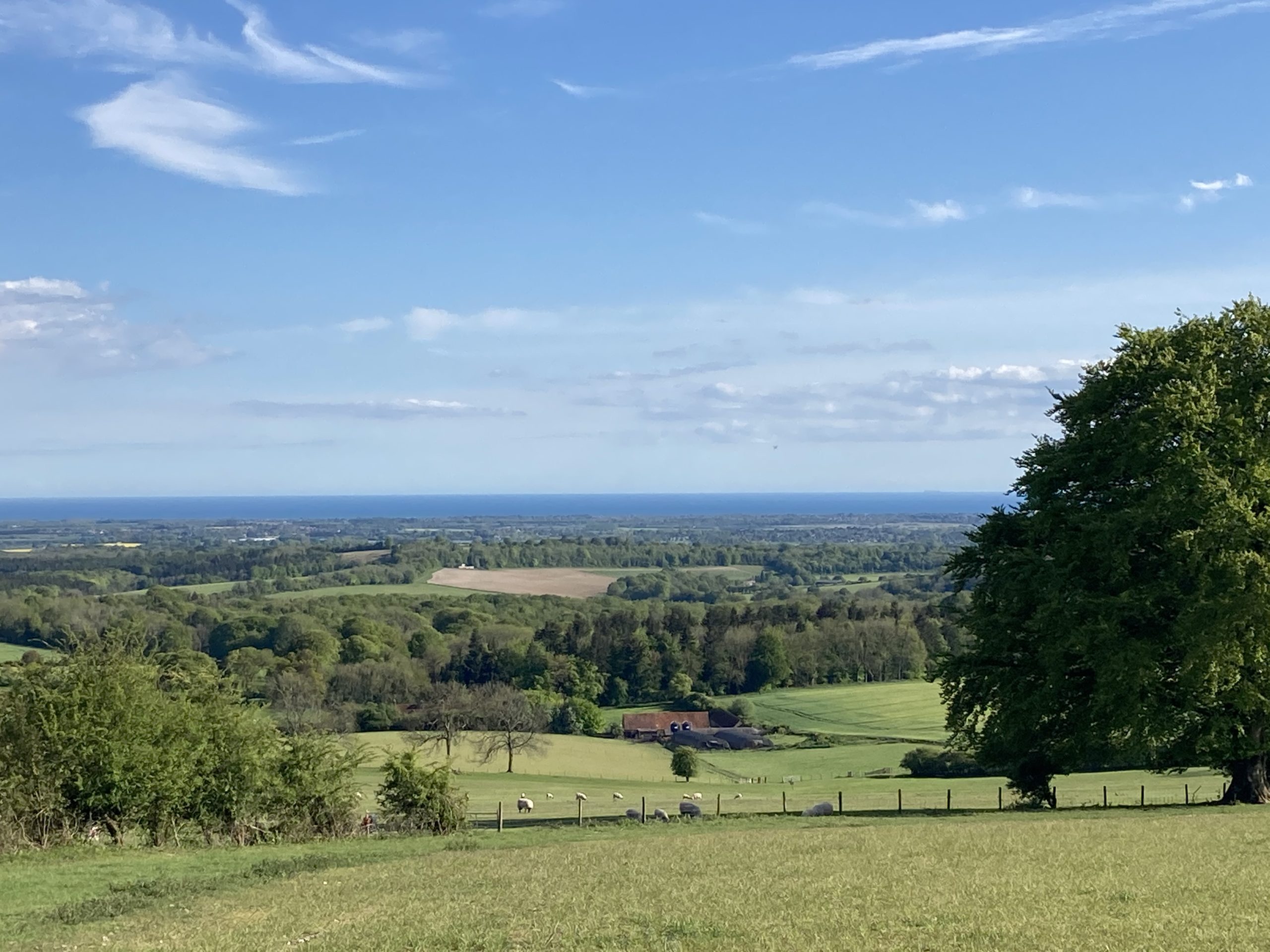 View of Sussed countryside to the sea