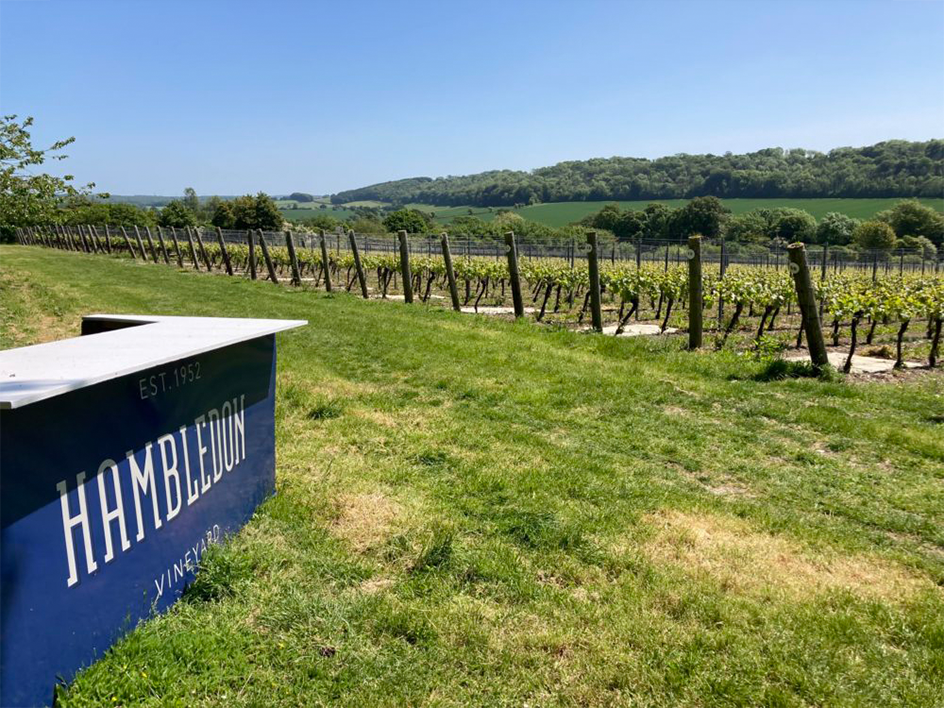 ebike hire hambledon vineyard