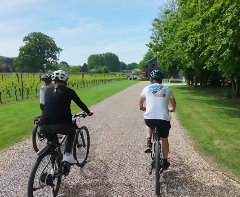 Riding through the ashling park vineyard